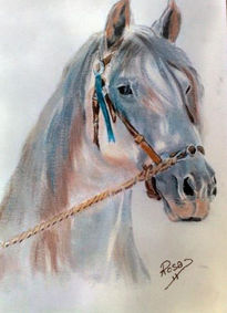 Caballo