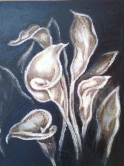 Flores