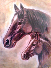 Caballos