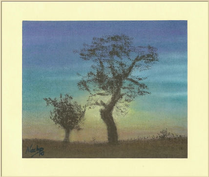 Arbol a contraluz...