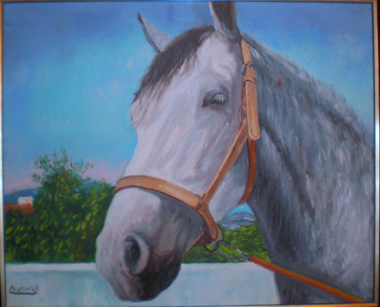 Caballo (faisan)