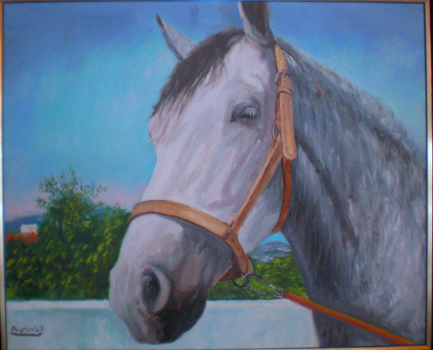 caballo (faisan) Oil Canvas Animals