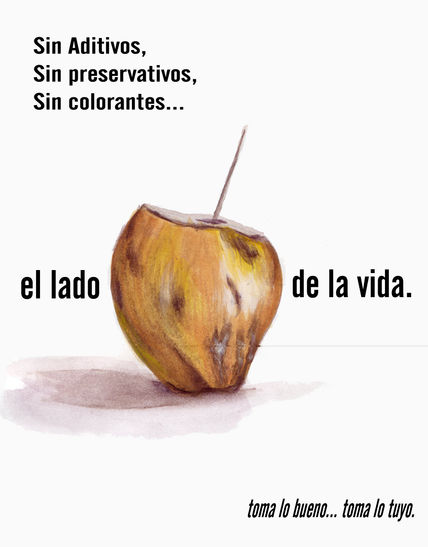 Producciones tipicas 1
