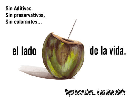 Producciones tipicas2