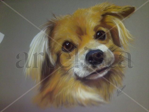 Balto Pastel Papel Animales