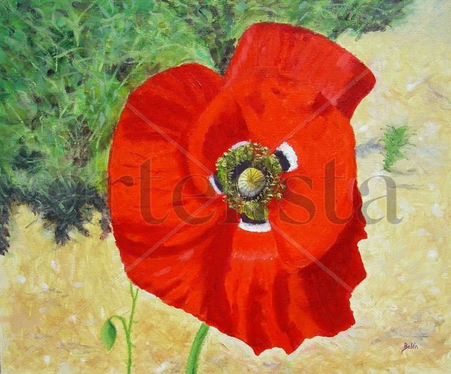 AMAPOLA