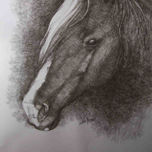 caballos thumbnail 1