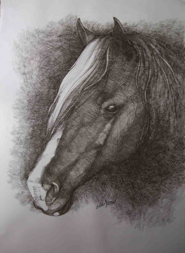 caballo 2