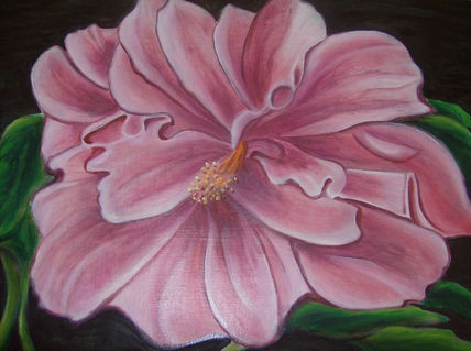Bonche Rosado.