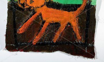 serie zoo-lógico