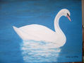 EL CISNE