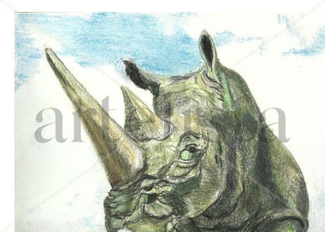 Rino