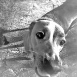 Cozumel en B/N thumbnail 2