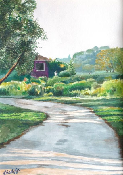 Camino en Las Minas
