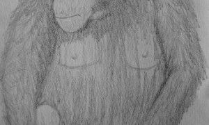 ZOO