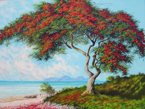 Flamboyant solitario