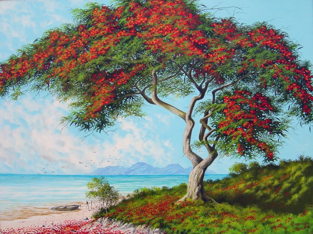 flamboyant solitario