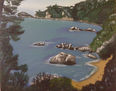 playa de