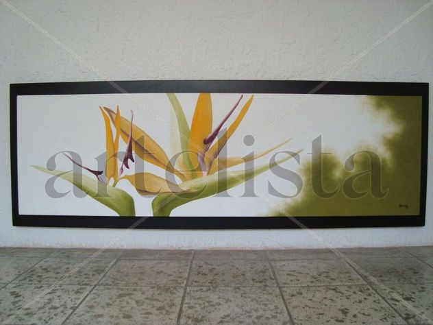aves del paraiso