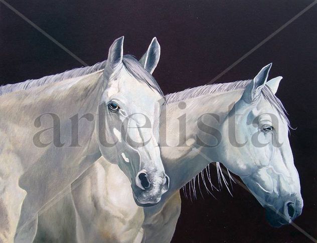 casal de cavalos
