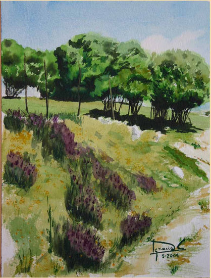 Al borde del Camino Watercolour Paper