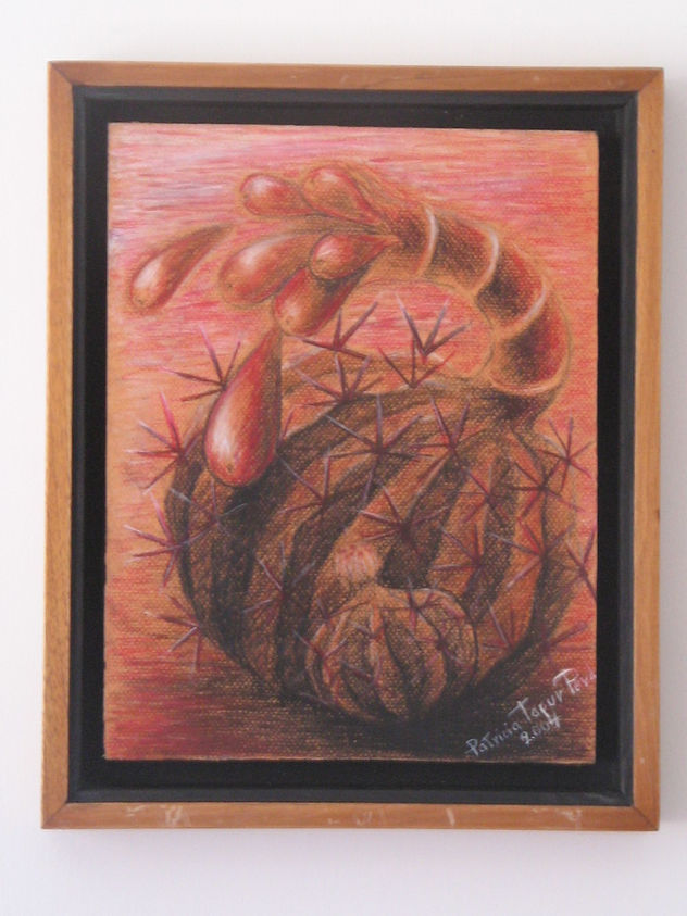 Naturaleza desbordada 2