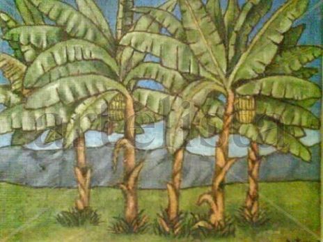 Plataneras