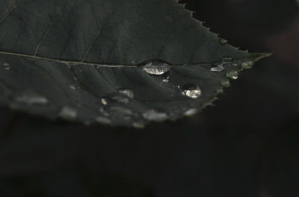 Gota de agua sobre...