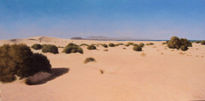 Dunas de Corralejo