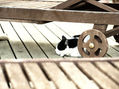 gato junto hamaca