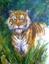 tigre