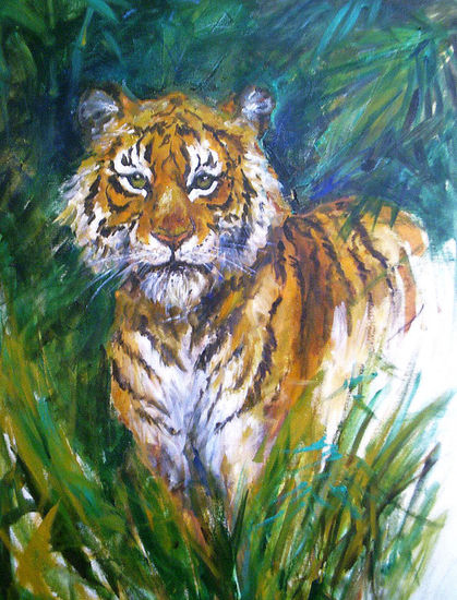 tigre Oil Canvas