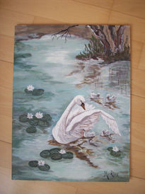 Cisnes