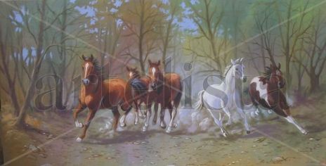 Caballos lebanta polvo