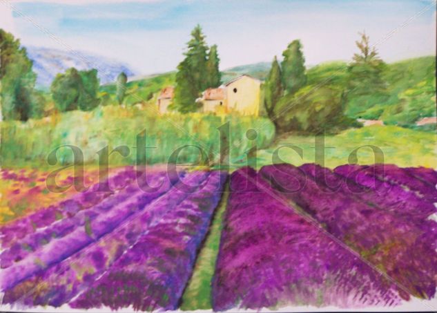 Campo de lavanda Watercolour Paper Landscaping