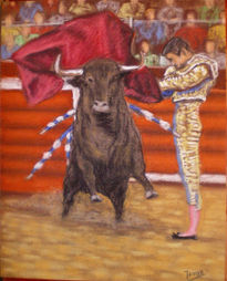 Toros. pase de muleta