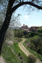A LA SOMBRA DEL OLIVO