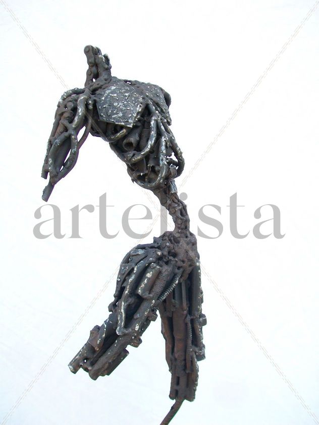 torzo