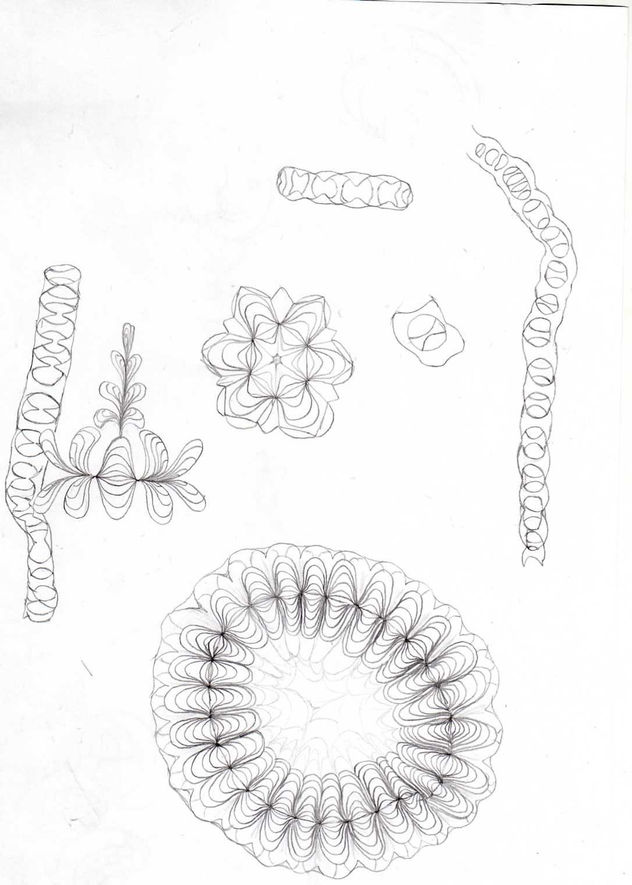 FORMAS 3