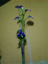 FLORERO