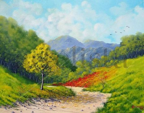 Caminho rural