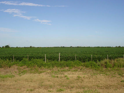 Agua y esfuerzo