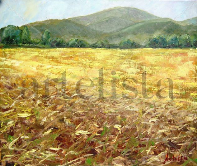 Campo de trigo Oil Canvas Landscaping