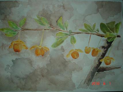 Frutos
