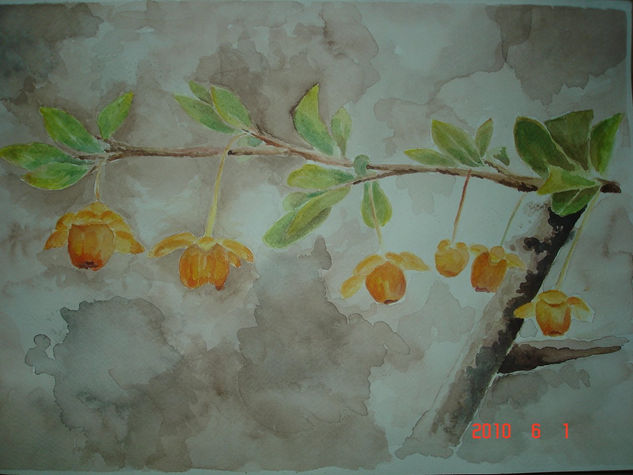 frutos Watercolour Paper Landscaping