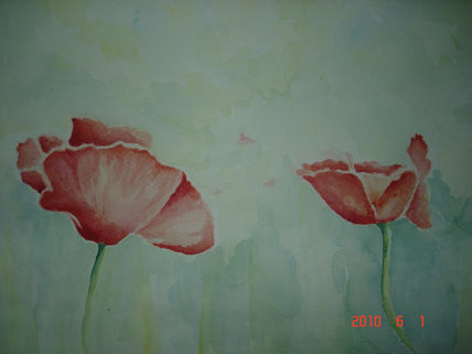 Amapolas