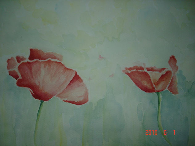 Amapolas