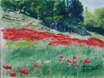 Rincon de amapolas