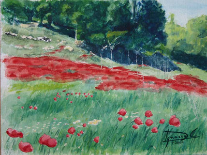Rincon de amapolas