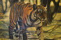 EL TIGRE